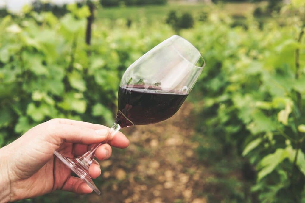 Wines & Wineries Of SA: The Visitor's Guide to South African Wines & Wineries